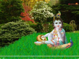 Bal Krishna Wallpaper